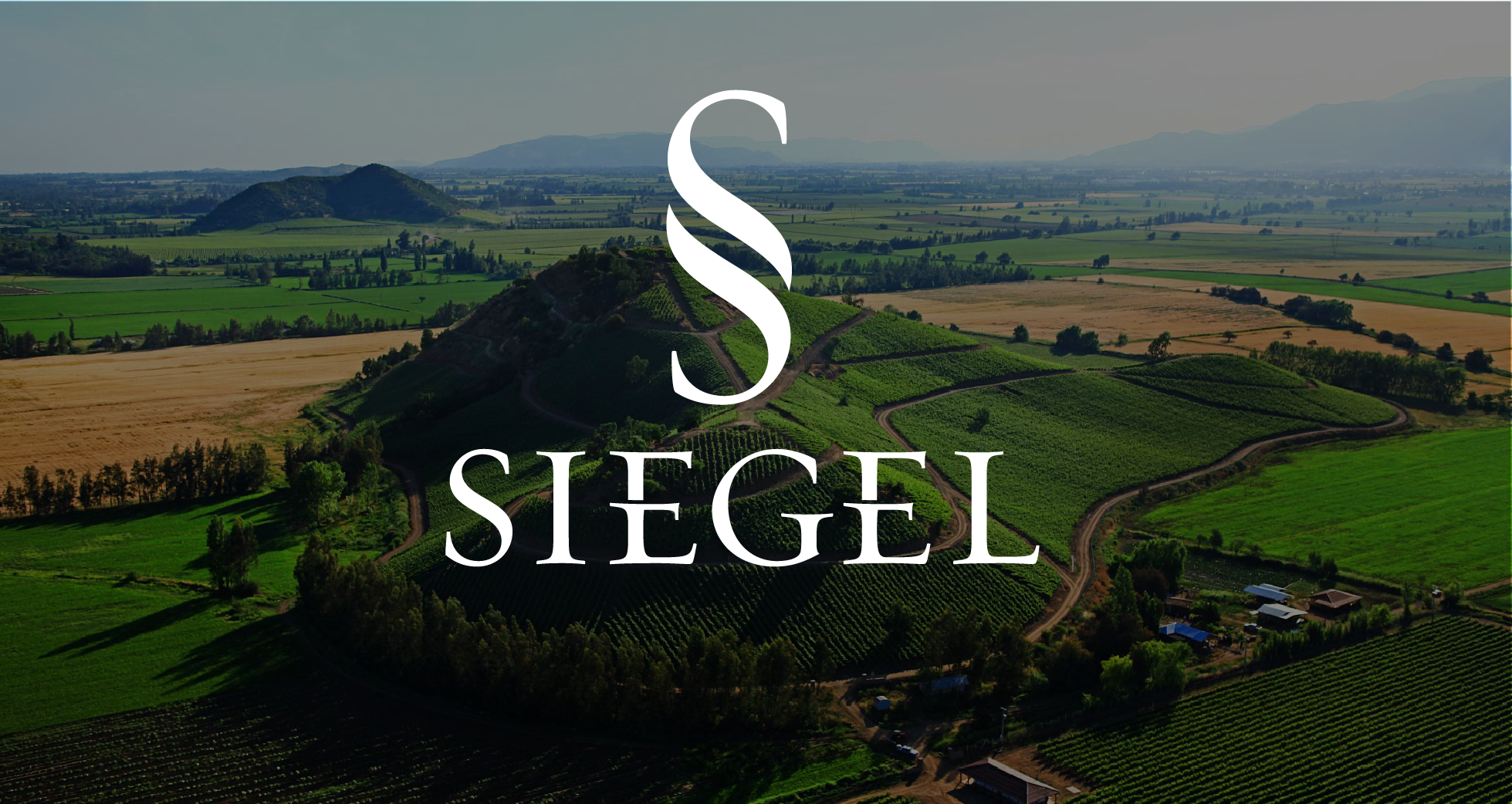 Siegel Wines