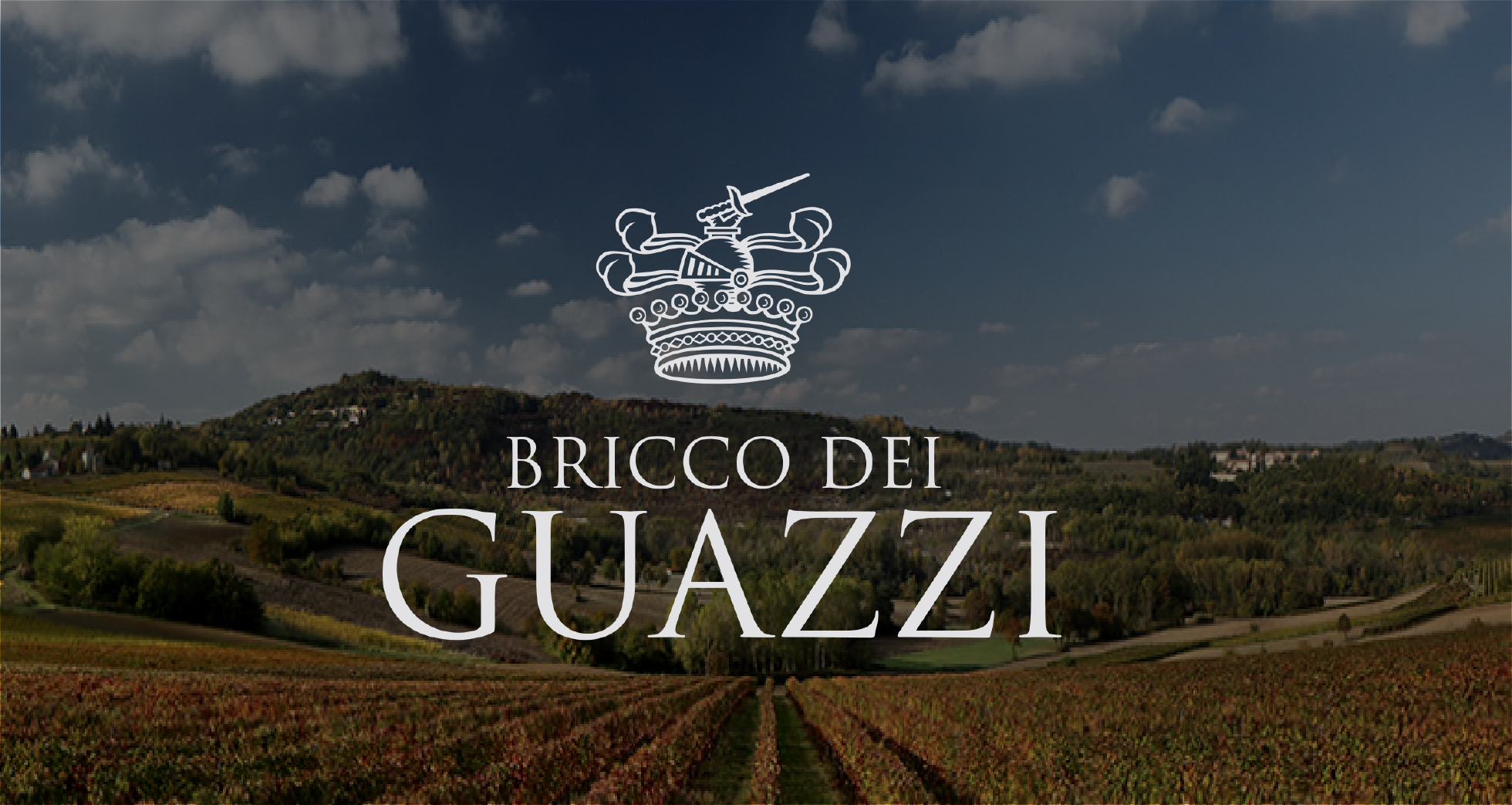 Banner Bricco Del Guazzi